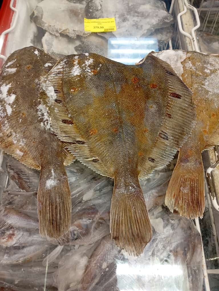 ������� �����������!