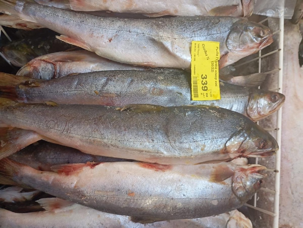 ���������� �����