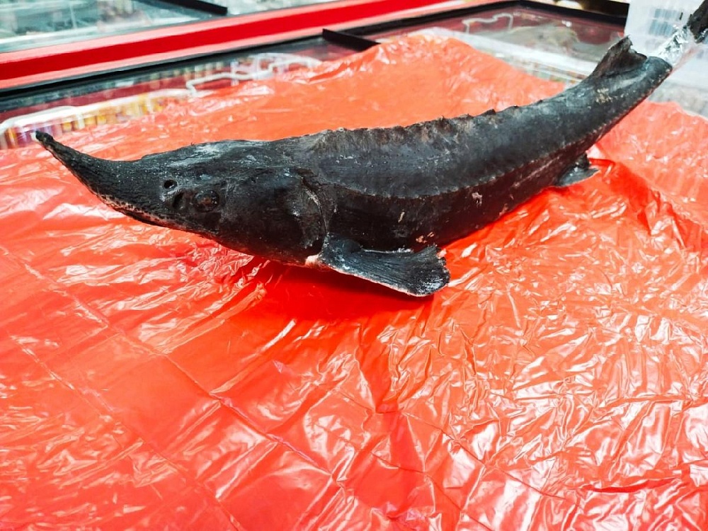 ���������� � ������ �����!